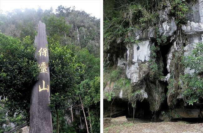 上掲の画像に出ている標識ではウィンド・ケイブの方が近いのに、そこは看板を見落として通り過ぎてしまったらしい。(；＾ω＾)<br />ウィンド・ケイブについては、この旅行記の後半でご紹介します。<br /><br />フェアリー・ケイブは、BAU（バウ）の村近くにある石灰岩の岩山の麓にできた自然の洞窟。<br />中国語での名前は保霊山。<br />ウィンド・ケイブと違って脇道に入って行く必要が無く、すぐ見つかります。