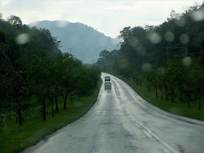 クチンに帰る道筋。<br /><br />今日のスコールは、ずいぶんしつこいよね。(−"−怒)<br /><br />でも、道筋はこのとおり整備されていて安心。