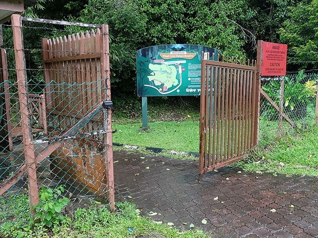 上掲の画像の標識に従って道を進むと、ウィンド・ケイブ入口到着。<br /><br />ここも、フェアリー・ケイブと同じように自然にできた洞窟があるんですが、規模はこちらが大きくてジャングル自然観察トレイルがいくつかある場所になっています。<br /><br />この周辺をまとめて回るツアーがクチンから出ているようなので、気になる方は要チェック。