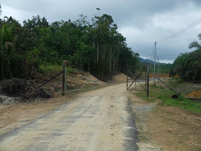 …お隣のインドネシアに通じる道。<br />簡単なゲートがしつらえてありました。<br /><br />セリキンの村は、この先にある国境まで数kmしかないんです。<br /><br />●注：　ただし、ここのマレーシア⇔インドネシアの国境を行き来するには特別な許可が必要だそうです。<br />一般的な観光客が出入りする国境ではありません。