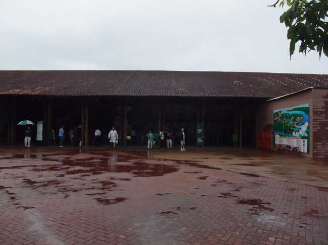 イグアスの空港からはバスで国立公園へ行きました。<br />このバスはイグアス市内⇔空港⇔国立公園の間を走ってます。<br />大型のスーツケースも入口で預けることができます。入場料とロッカーのチケットを買って、荷物を預けるシステムです。<br /><br />イグアスは生憎の雨でした・・・