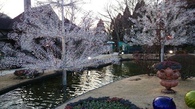 夜になるともっと綺麗かも。