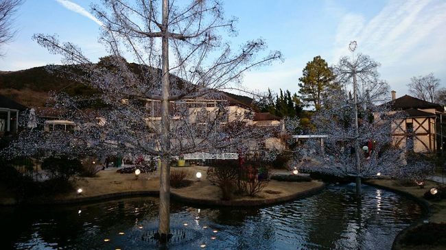 夕方だったので、キラキラいまいち。