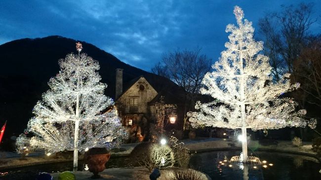 既に陽が落ちて、外ゎ暗かった。<br />ライトアップされたお庭もまた良し。