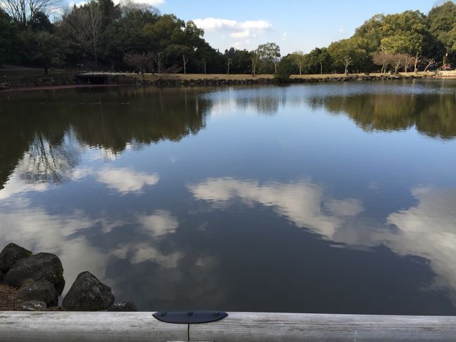 ベルサイユとの関係．．．<br />ナゾです。