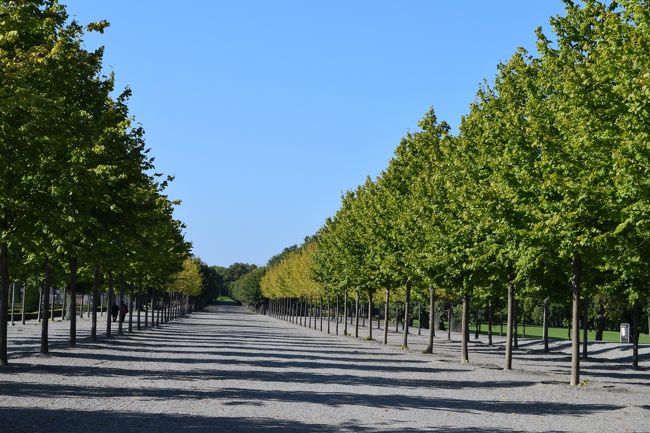 この宮殿の庭園は約90ha位あるみたい。<br /><br />広いことはわかるが、イメージが。。。ちなみに福岡ドームの12〜3個分。。。