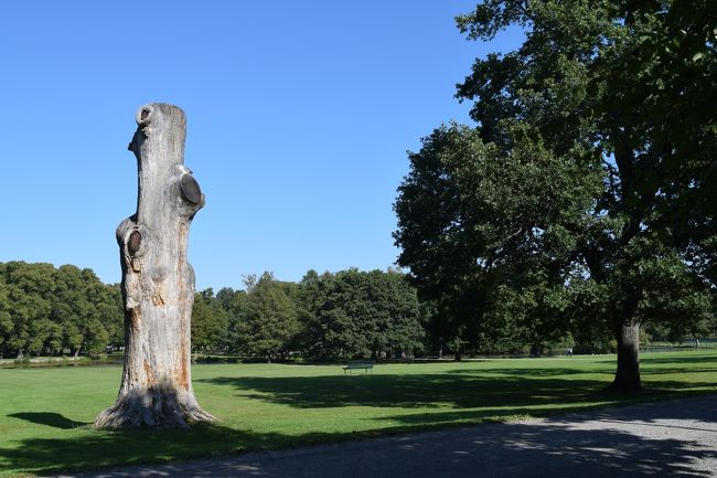 芝生に寝転がってお昼寝したい気分です