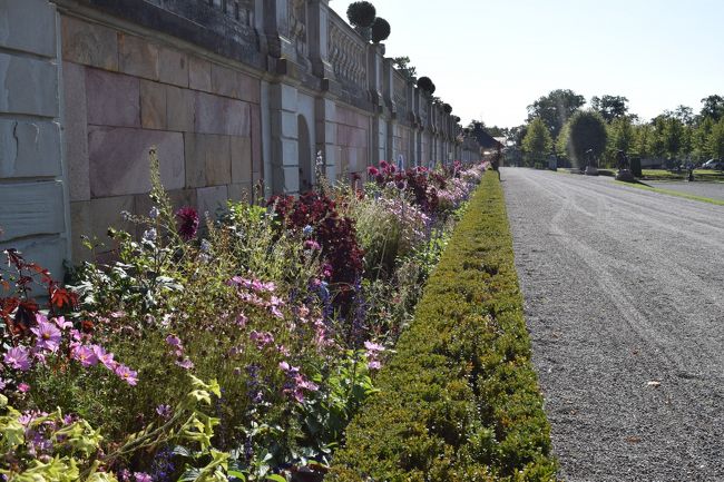 お花も咲いています。<br /><br />徐々に寒くなってきている時期なので、お花も春に比べれば少なめなのかも。。。