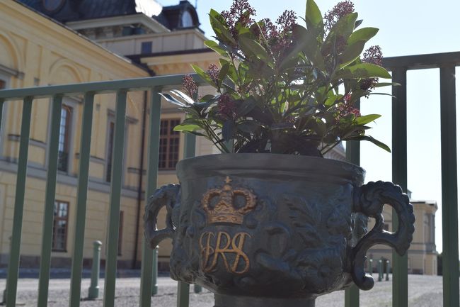 植物が入っている鉢にもクラウンの紋章があります