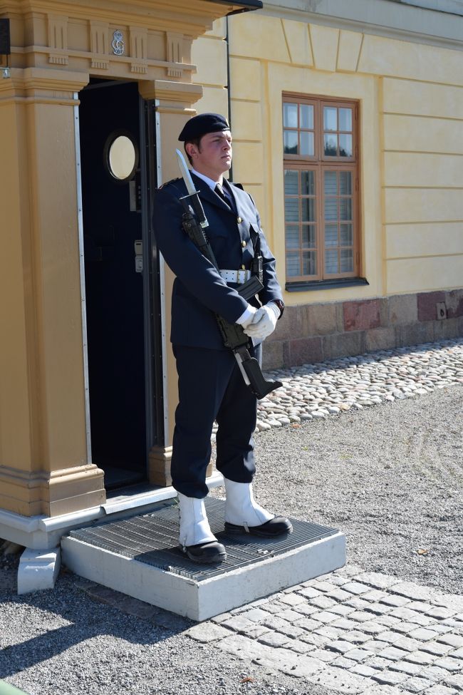 おっ、衛兵さん(((o(*ﾟ▽ﾟ*)o)))<br /><br />手にあるのは、銃ですよね