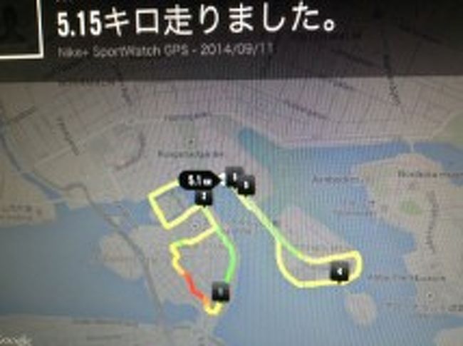 さて今日はRUNからスタートです。<br /><br />この素敵な気持ちのいい街並み。joggerの血が騒ぎます。旅行中ホテルのフィットネスで時々走りますが、これは屋外のジョギングでしょう〜<br />昨日観光でかなり歩き回ったので、その辺を自分の足で走って再訪問です。<br />約30分のRUNでしたが、地元のjoggerに混じって走っているとストックホルム在住者の様？！だったはず？？？