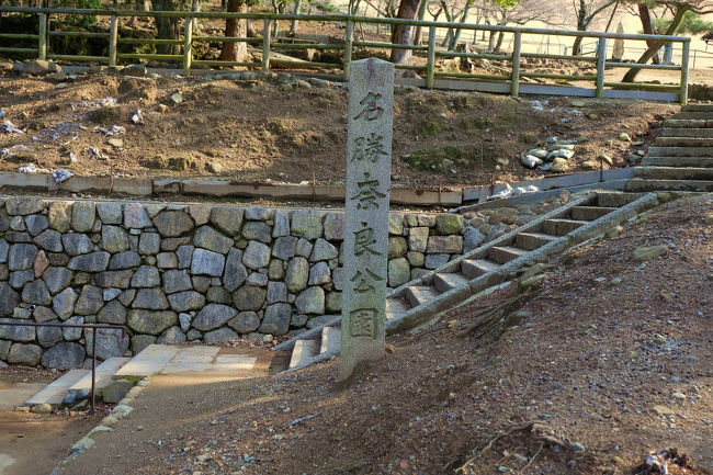 ゆっくり　理屈ぬきで　ゆっくり　陽の光をあびて　散歩気分