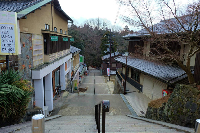 この石段、、<br /><br />　　春日大社から来ると階段だ、と思う所でもあります、<br /><br />　　　夏の暑い日、、息子と来た日を思い出す。、、