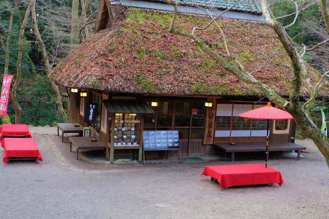 春日大社　本社への小道へ<br /><br />　ここも思い出の水谷茶屋