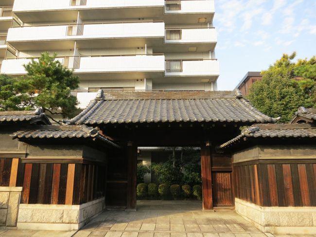 本当に素敵な街♪