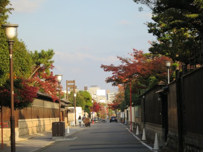 のんびりって感じで良いです。