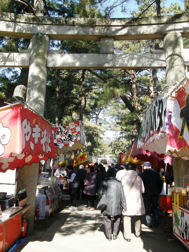 玉敷神社のだるま市に・・・