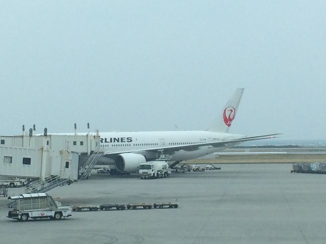 JAL915 HND-OKA