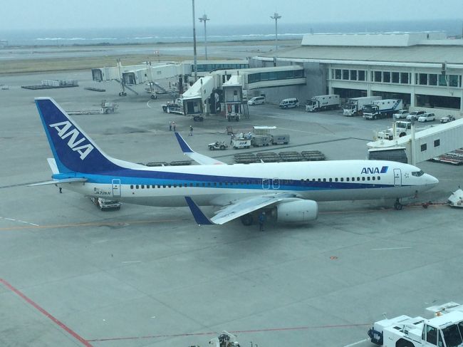 駐機中のANA機を撮ってみた。