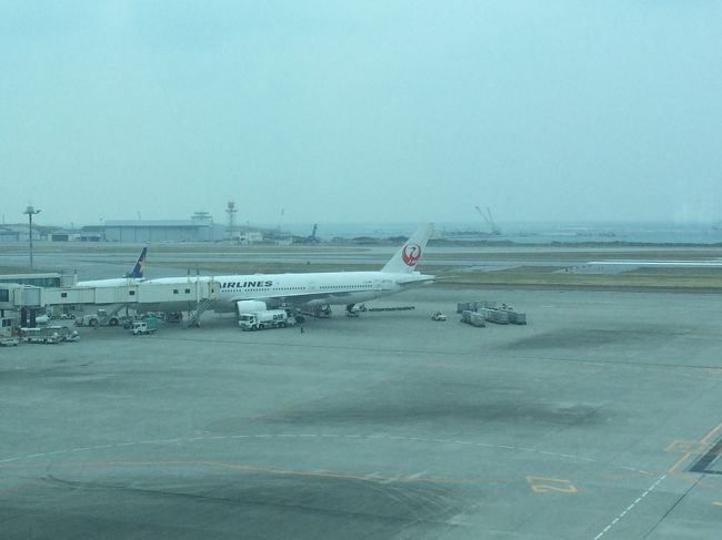 JAL機とスカイマーク機。