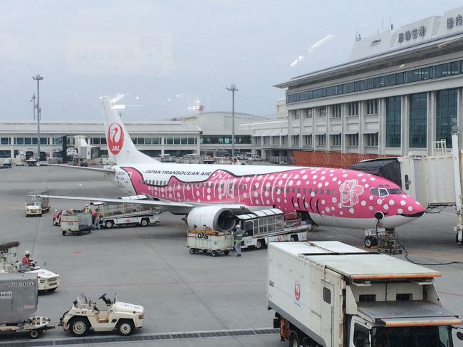 隣にとまっていたサクラジンベエジェット。JTA571 OKA-MMY