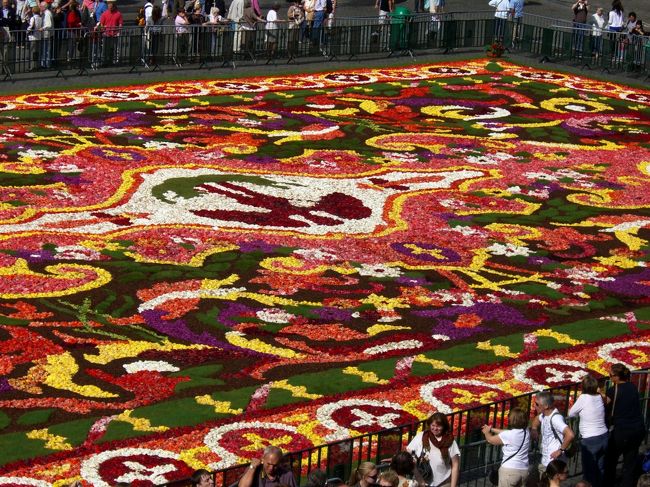 10AM頃です。アップです。