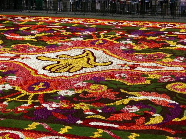 同じくアップの写真です。