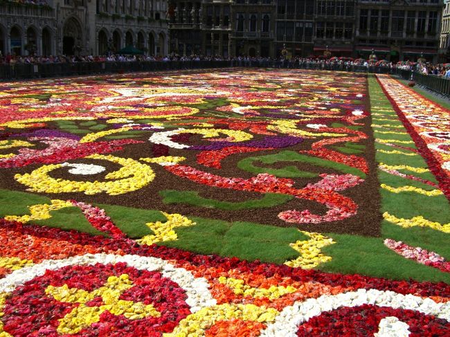 カーペットのゴツゴツした肌合いあいが感じられます。3PM過ぎです。