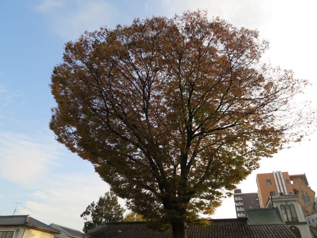 自然な感じが素敵♪