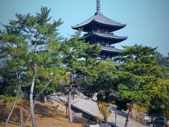 境内を出て・・・南側にある猿沢池から眺める五重塔は撮影スポット・・・ということらしいのですが・・・やや木々の枝に隠れがちになっちゃいました。

何気に石段を下りてきちゃいましたが、石段の上あたりは、南大門があった場所です。

