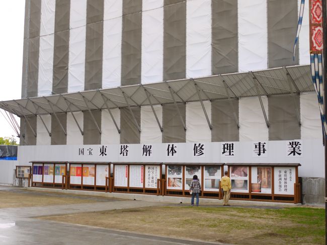 こちらは東塔。<br />東塔は薬師寺で唯一創建当時のままのこる建物やねんけど…<br />ざんねんながら解体修理中。。。<br />平成３１年の完成だそうな。。。