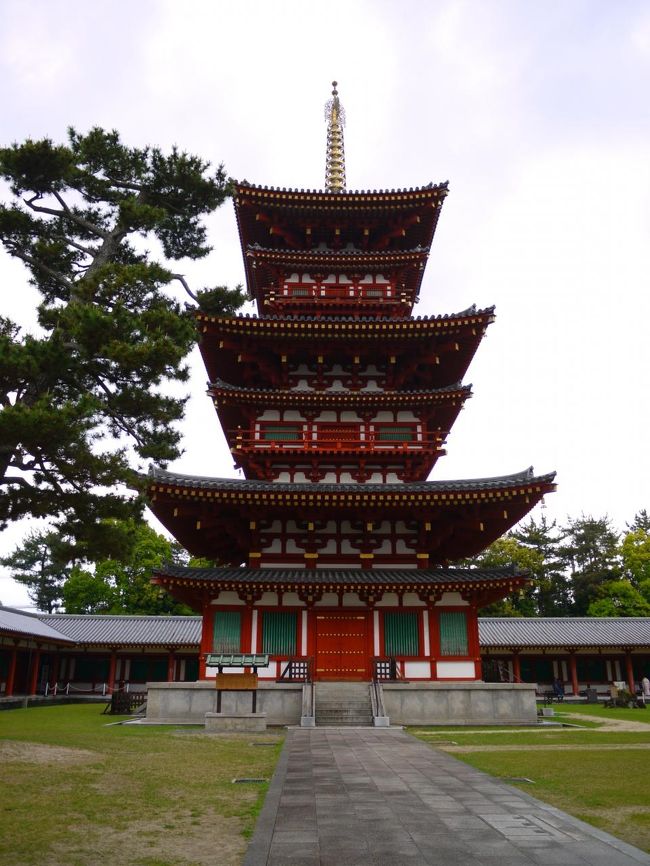 こちらは西塔<br /><br />こちらも１５２８年に消失したので再建されたのは昭和。<br />だからとっても色鮮やか！<br />午前中に法隆寺の五重塔を見てきたけどあのシンプルでもバランスの良い塔とはまた違って、もっと豪華になって鮮やかな様子は奈良の都の繁栄を表すみたいです。<br />