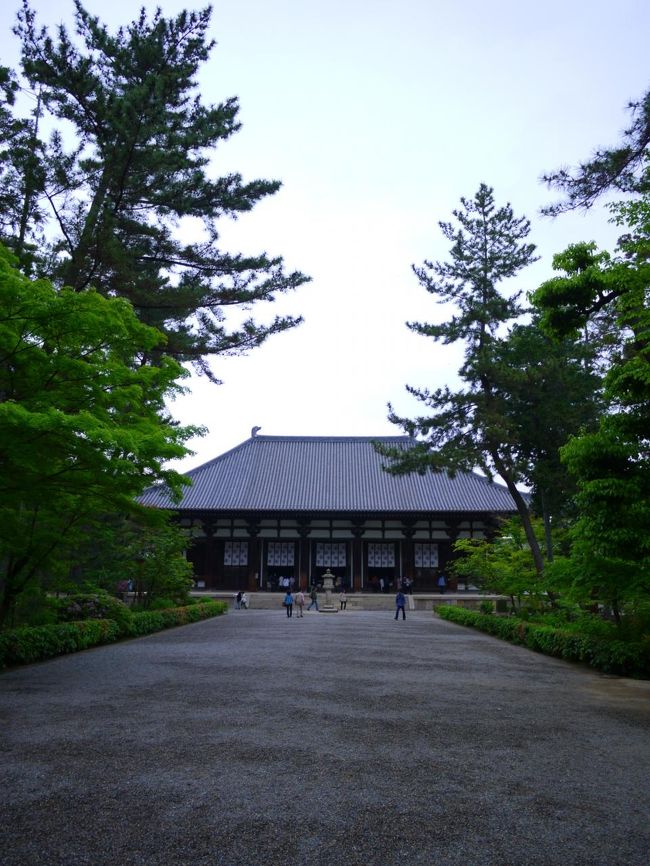 おぉぉぉぉ〜〜〜！！<br /><br />圧倒されるような唐招提寺の金堂がドドーンと目の前に！！<br /><br />なんだか雰囲気は京都の泉涌寺に似てる気がする・・・<br />金堂は天平文化の建築様式を伝えるとっても重要な建築の１つ。<br />大きな瓦の屋根の存在感がすごいです！！