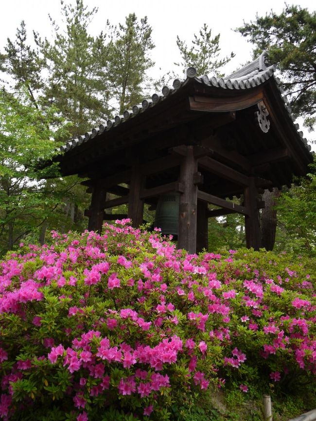 講堂の近くにあった鐘<br /><br />ツツジが綺麗でみんなここでバシバシ撮ってました。