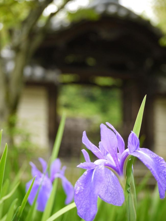 〜〜〜〜〜。＊ﾟ。.*ﾟ・。ﾟ