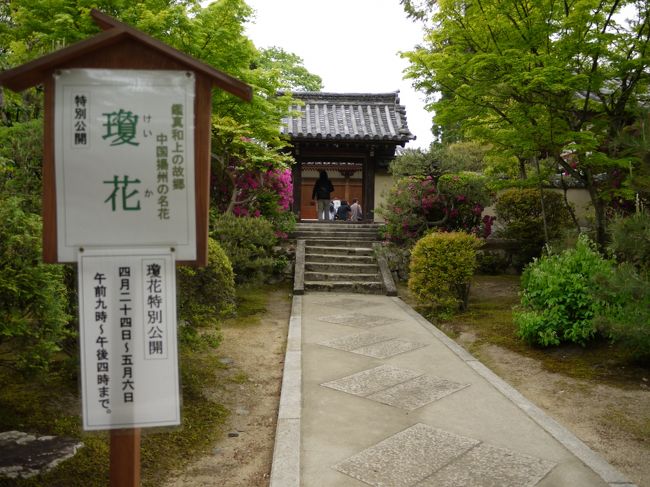 ん？？<br />「けいか？？」特別公開だって！！<br />なんだかよくわかんないけど気になる！！<br /><br />早速中へ行ってみると・・・