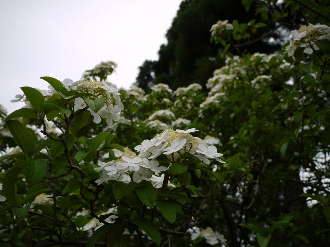 わぁ〜〜〜〜〜･:*:･(*´艸`*)･:*:･<br />きれいっ！！