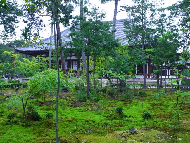 見所いっぱいの唐招提寺。<br />私の気に入ったポイントはもう一つ。<br /><br />金堂前の参道の自由気ままな苔の庭。<br />もはや庭なのかもわかんないけどいい感じ(´∀｀*)