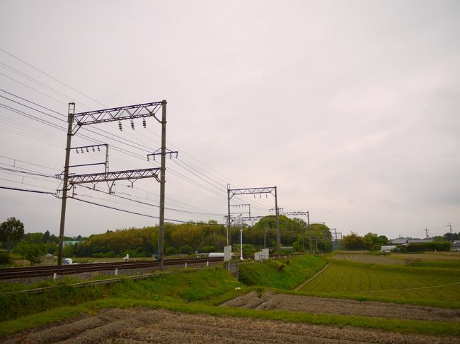 ・・・・・<br />・・・・・・<br />・・・・・・・のどかだ・・・