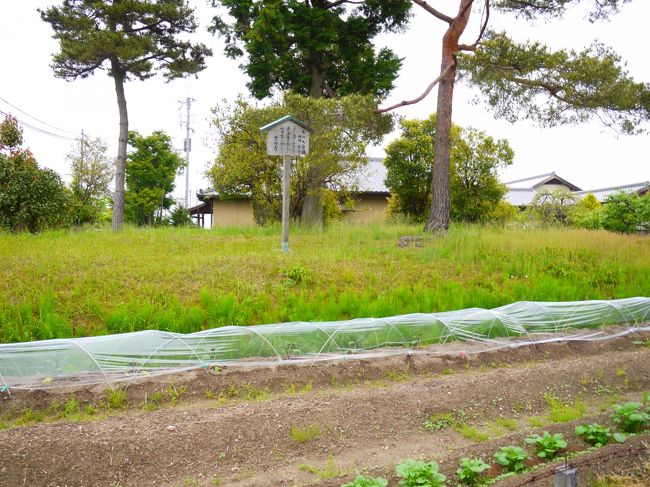 だいぶ駅に近づいたところで変わった場所を発見。<br />なんと垂仁天皇陵の飛び地だって！！<br />飛び地って・・・ｗ<br />そんなのあるねんなぁ〜<br /><br />で？<br />敷地を犯すなと立札はゆうてますが、<br />その前の畑は？明らか家庭菜園のような可愛らしい畑は？？<br />ぎりぎりセーフな場所なのかそれとも？！<br /><br />このゆるさがいいところかもしれないｗ