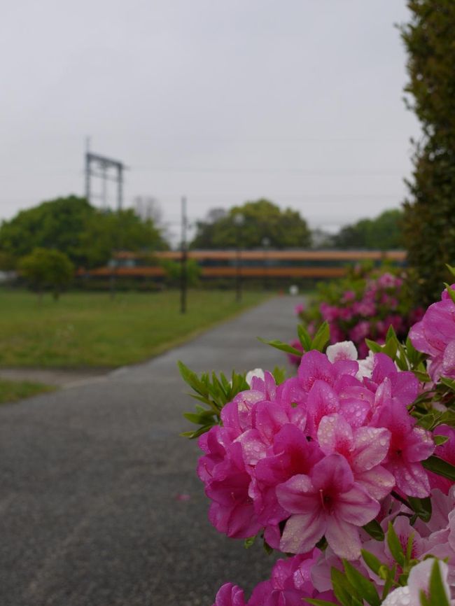おぉ！また違うのも来た〜＾＾<br /><br />にわか撮り鉄♪