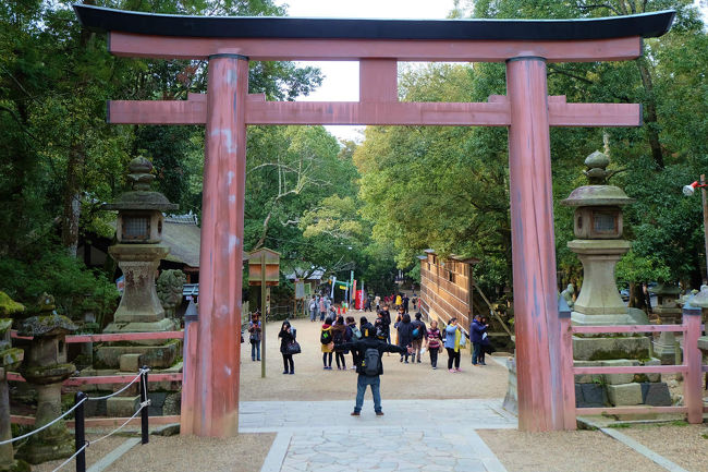 外国の方　鳥居下で　無邪気にポーズ