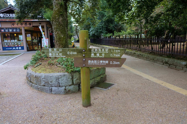 春日大社は名残惜しいのですが