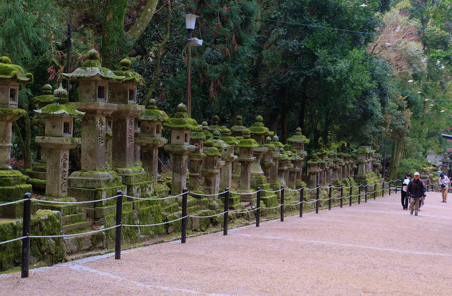 お馴染みの参道。。