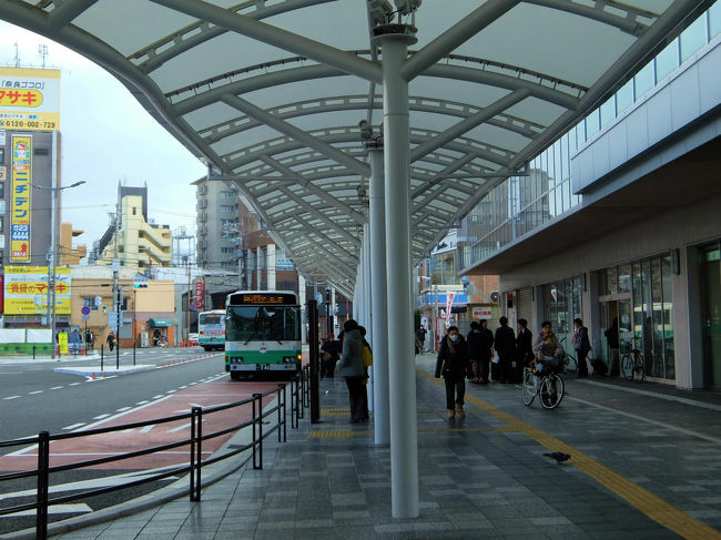 母校の修学旅行に同行した折のご一緒の先生が<br /><br />　孫娘の担任になるとは、<br /><br />　　興福寺で笑顔が、、帰宅後の出会いの話題になりました。