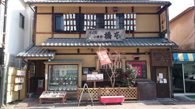 お昼ゎ、こちらで頂きました。