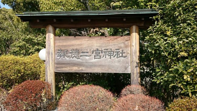 お隣の二宮神社へ散策。