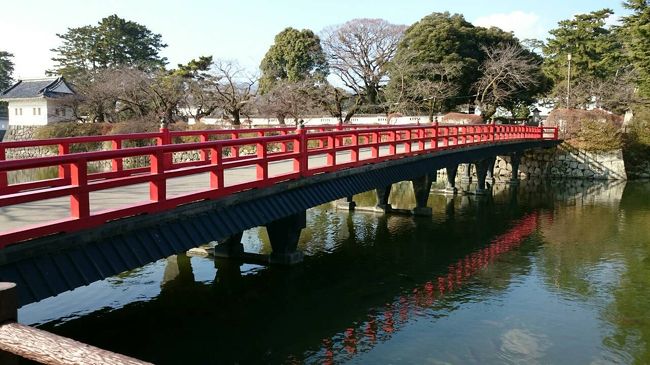 綺麗な橋。鯉がたくさん居ましたよー。