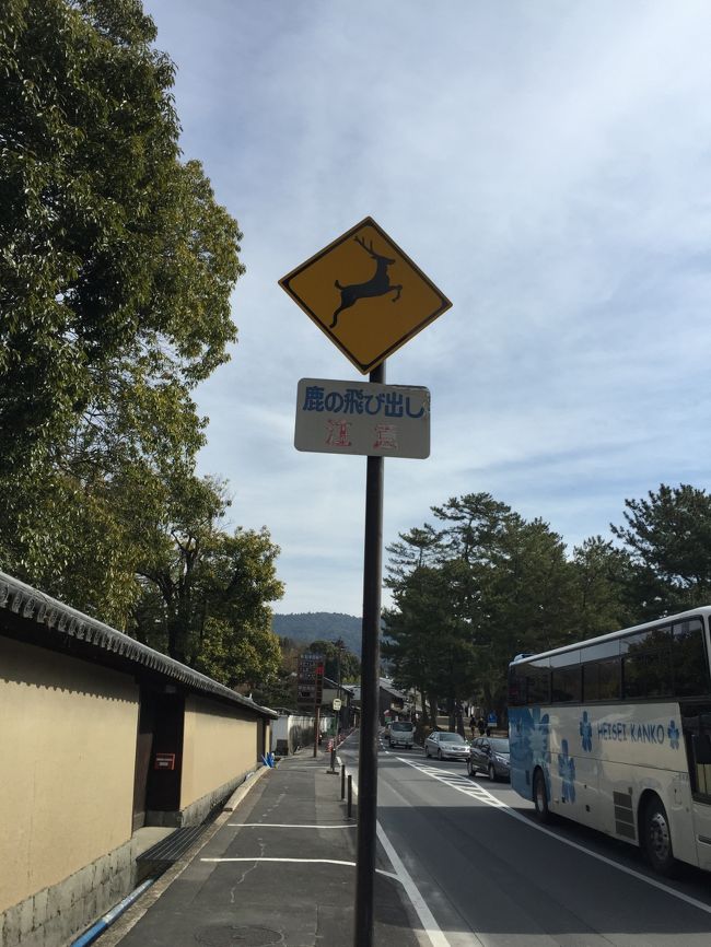 この標識見ると奈良って感じ。<br /><br />