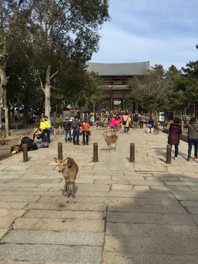 思ったこと。<br /><br />アジア系の観光客の多さ。<br /><br />写真撮ってもらう時声掛けるん誰に掛けようか迷ったし。<br /><br /><br />